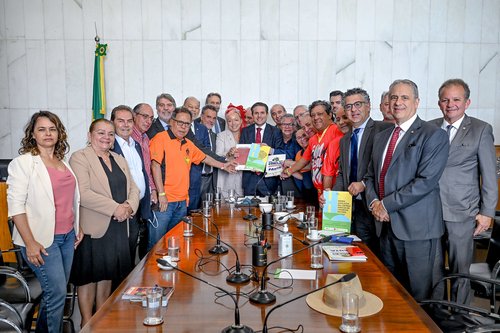 foto 01