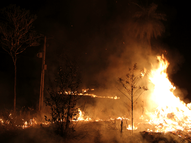 Incêndio próximo pista, na região Fercal, no Distrito Federal (Foto: Vianey Bentes/ G1) Incêndio próximo pista, na região Fercal, no Distrito Federal (Foto: Vianey Bentes/ G1)